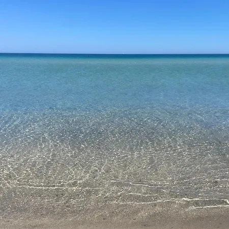 Ortensia